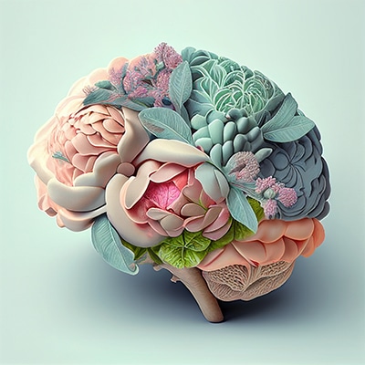 Cognitive assessment